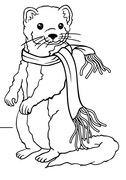 Lättenwieseli&nbsp;